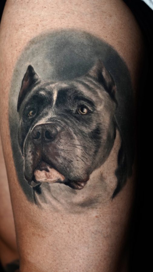 Pet portrait tattoo
